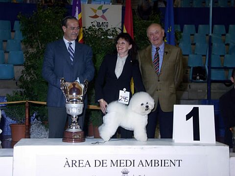 Petit Ami�s Dandy Diamond