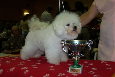 GINGER MEGBL Z PODCHOTOUCÍ GINGER MEGBL Z PODCHOTOUCÍ