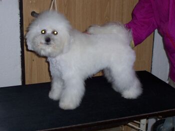 HANNAH ODEBL Z PODCHOTOUCÍ HANNAH ODEBL Z PODCHOTOUCÍ