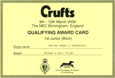 První kvalifikace z vystavy Luxembourg ze třídy junior První kvalifikace z vystavy Luxembourg ze třídy junior