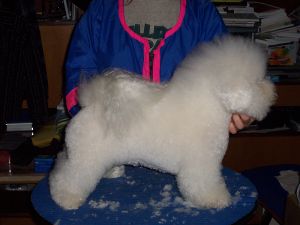 YASMIN GIMAJ z Podchotuc�