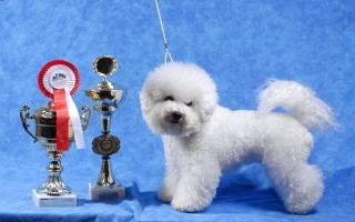 YASMIN GIMAJ z Podchotuc�