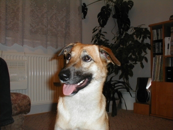 copak mi to říkají?