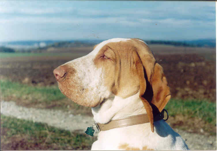 Lojza větří.