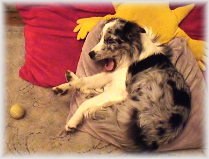 pelíšek