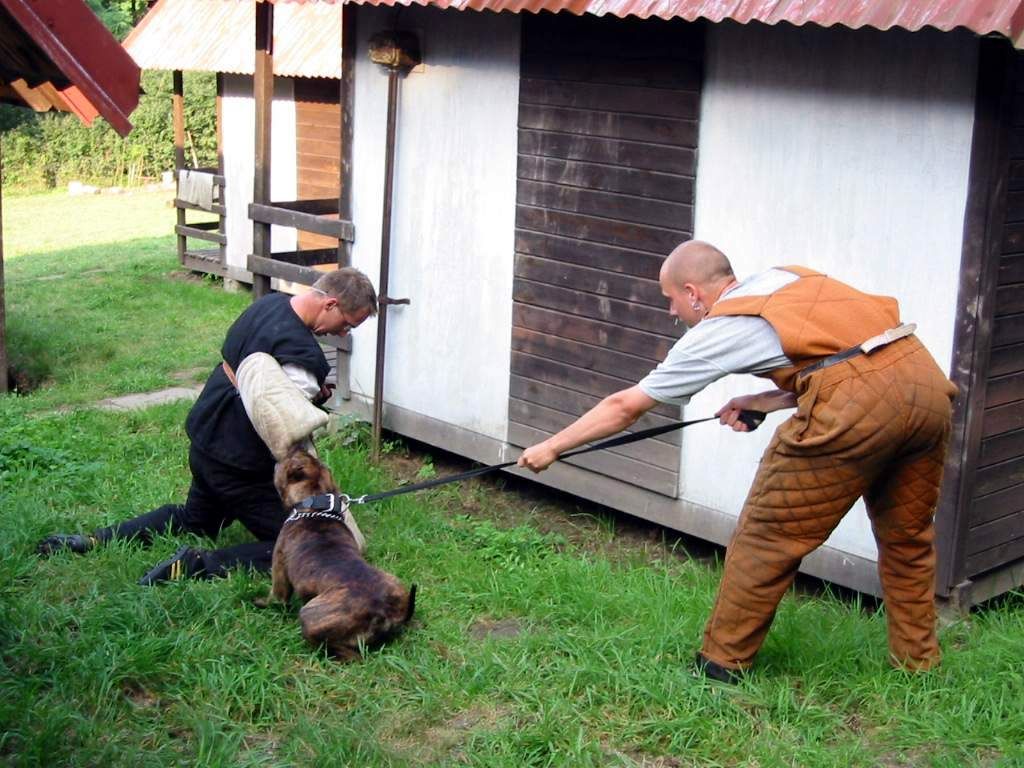 Zákus na VEGU