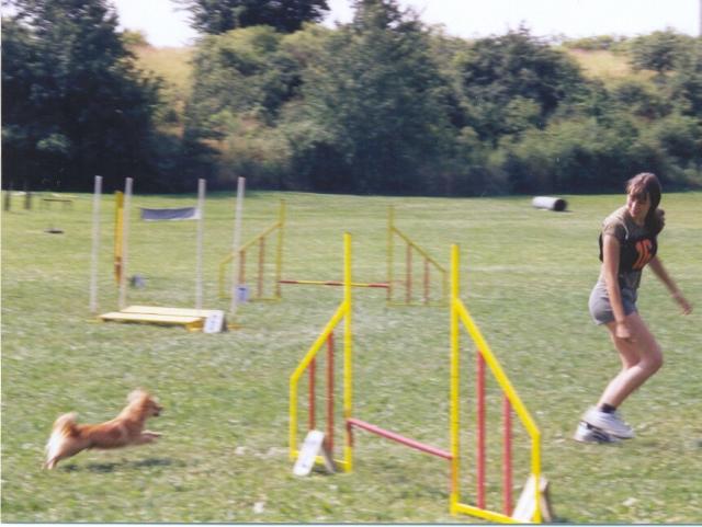 naše agility
