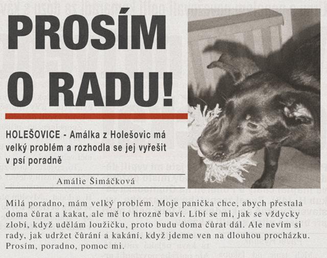 Prosím o radu!