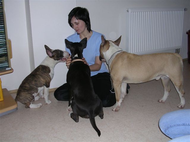 Moji kamárádi
