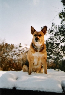 Kukuč