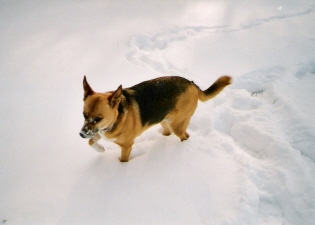 Aňule2