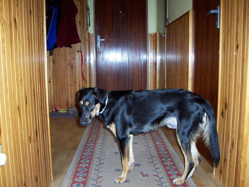 Nás Maxíček