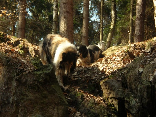  skalní sestup