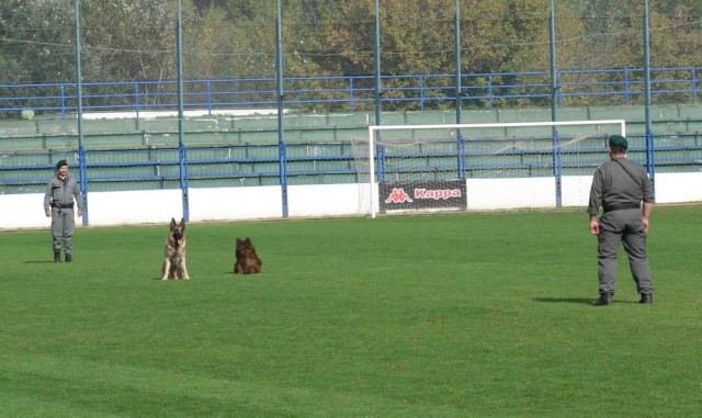 Sedni - lehni - vstaň - synchro