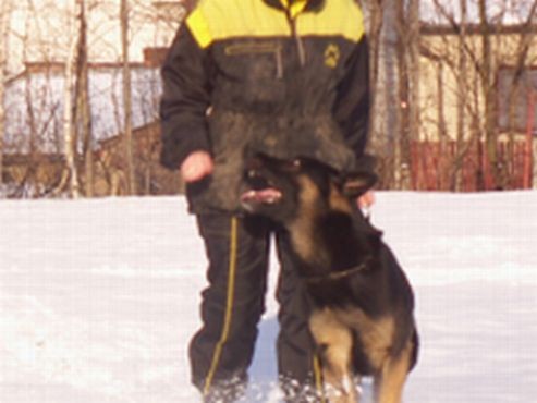 chůze