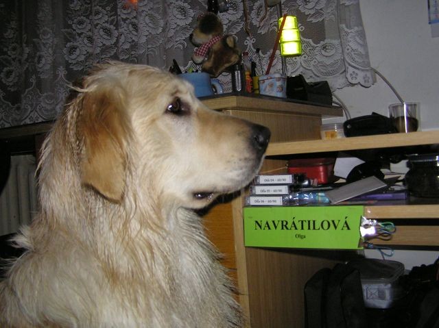Napínavá chvíle