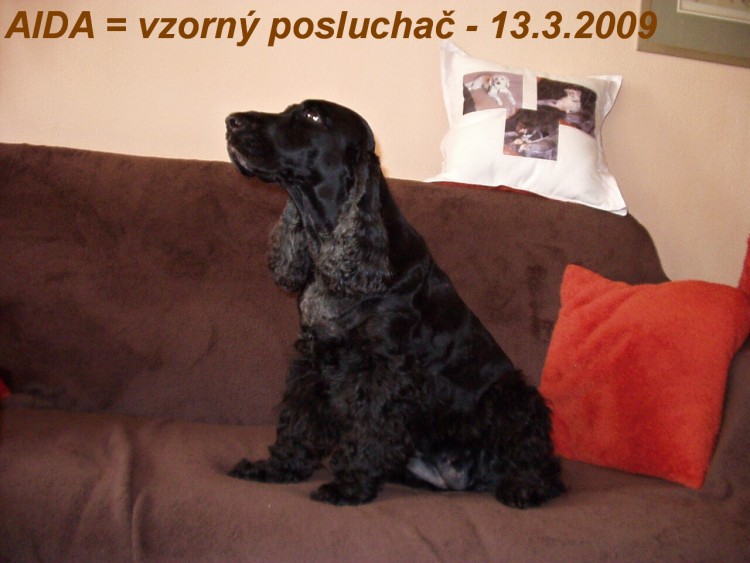 Umím naslouchat