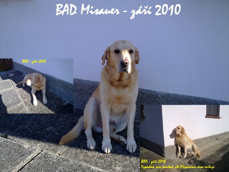 Tři a přece jeden