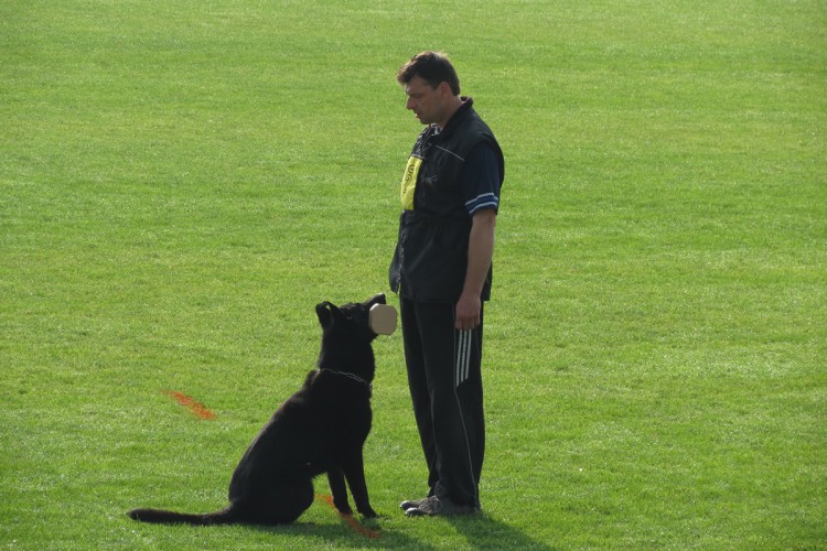Jiří Kubeš a Sax Favory Cross