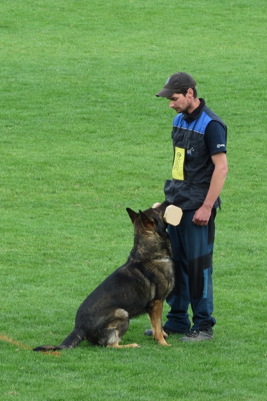 Václav Ouška a Chees ze Svobodného dvora
