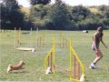 naše agility