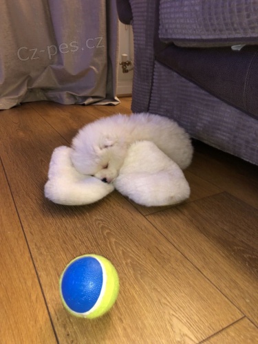 kr�sn� �t�n�