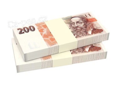 Rychlá půjčka do konce s problémy