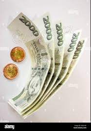 Financování vánočního večírku
