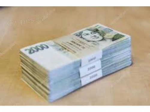   FINANCNÍ PODPORA PRO VÁŠ PROJEKT OD 200 000 Kc do 30 mil. 