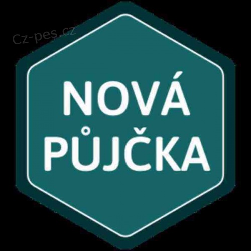 seriózní a rychlá nabídka půjčky