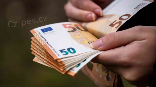 Finann pomoc s niklem 