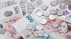 Nabdka pjky do 24 hodin 