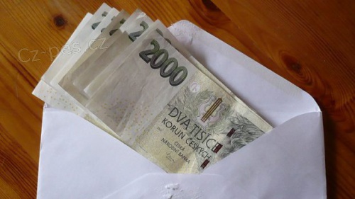 Rychl a spolehliv pjky