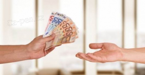 Zskejte dnes a 30 milion K