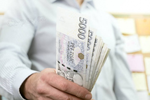 ychl a snadn pjky po cel esk republice