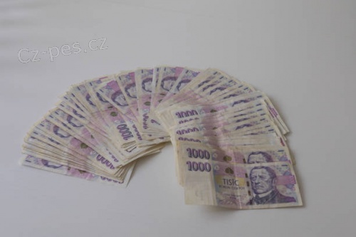 Okam�it� p�j�ka pro ka�d�ho