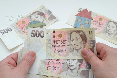 EXPRESN� NEBANKOVN� P�J�KY.