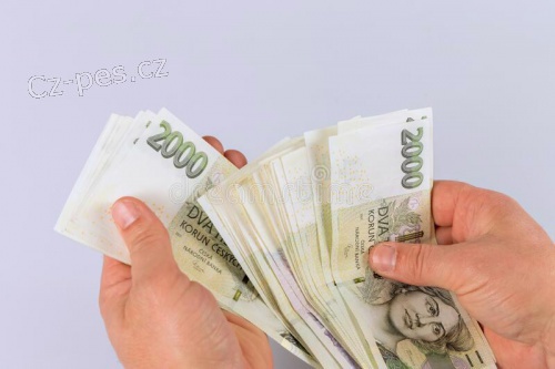 Rychl� a okam�it� p�j�ka