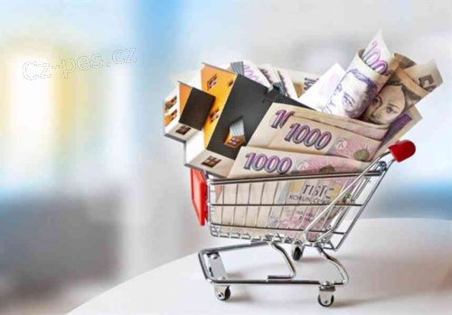 Penze mte pmo do 24 hodin na svm bankovnm tu.