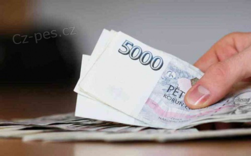 Urgentn� nebankovn� p�j�ka