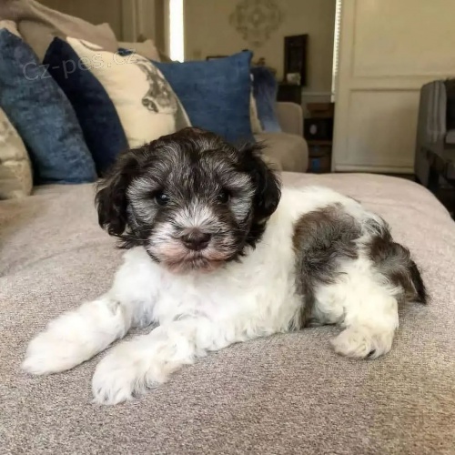 Kn�ra� mal� �t���tka