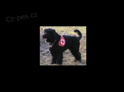 KRYTÍ