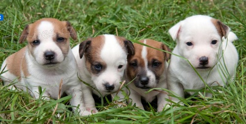 Prod�m �t�n� JRT