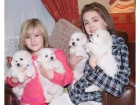 Štěňata Bichon Frize jsou k dispozici Jsou socializovaná a mají dobrý temperament se všemi. Vše, co potřebují, je domov, kde by byli milovaní a pečováni
