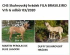 Brazilská Fila, štěňata s PP