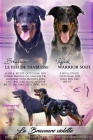 Beauceron s PP-již k odběru