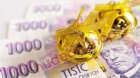 Seriózní a rychlá nabídka půjčky 30 000 Kč až 9 500 000 Kč.