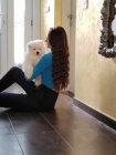 Samojed štěňata