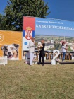 Bionek na prodej