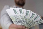 Rychl a spolehliv pjka